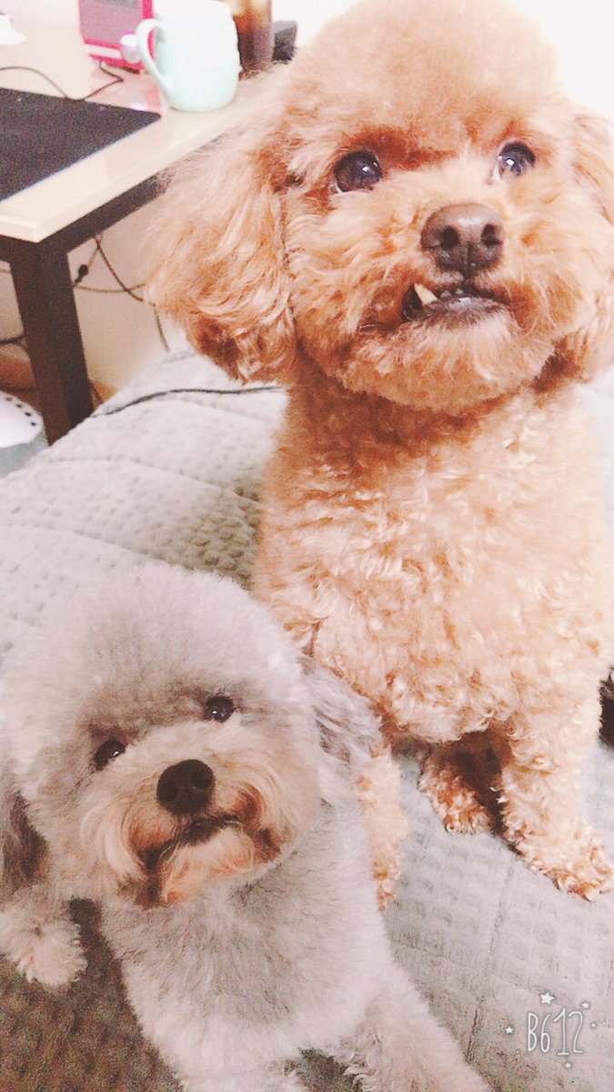미용함