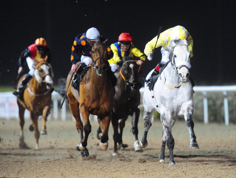 RacenewsService's tweet photo. #CaptainJoy all set for Good Friday once again as he lands FTQ @DundalkStadium @awchamps https://t.co/k2TKly8Ckw https://t.co/rJejPNeukj