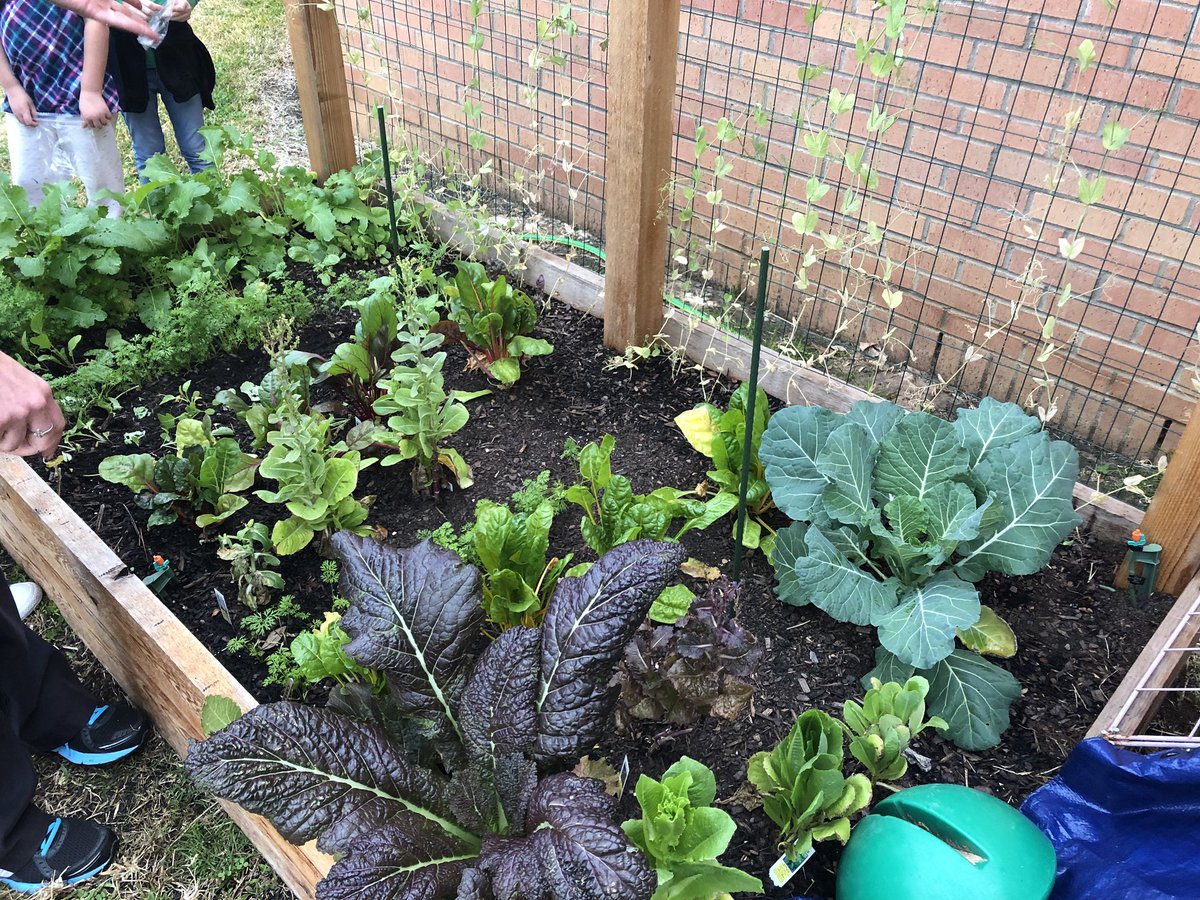 Holly Conroy tweet media