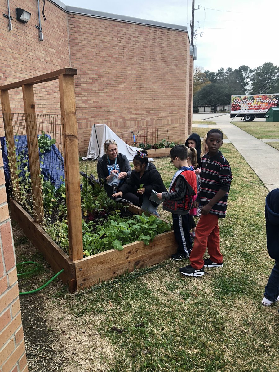 Holly Conroy tweet media