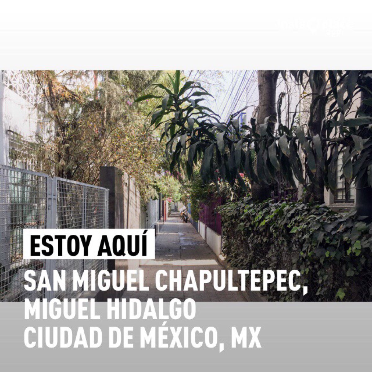 JTrianaT's tweet image. #DiputadoADomicilio #YoSiRegreso #MiguelHidalgo #Recorrido201 (@ Colonia San Miguel Chapultepec in Ciudad de México, DF) swarmapp.com/c/7Tu3SND3wC4