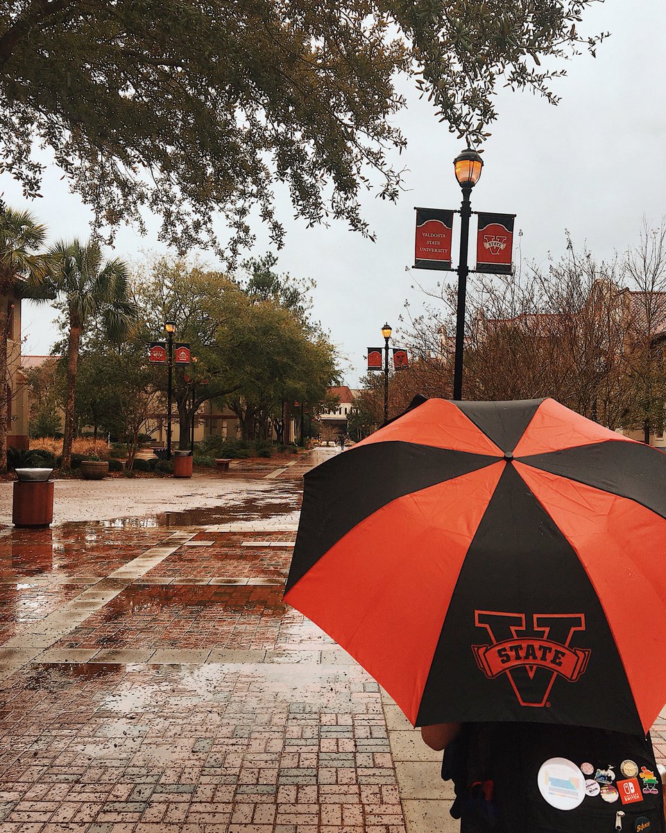 valdostastate's tweet image. #VState pride, rain or shine. 💥🔥