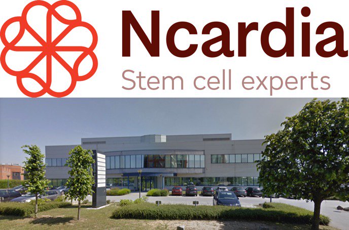 NcardiaStemCell's tweet photo. Interested in a #manufacturingsupervisor or R&D #Technician position at our new ISO9001:2015 certified facility? We'd love you to join the @NcardiaStemCell team! https://t.co/HiXEnpr0zY #jobopening #Gosselies #Belgium #biocareers #biotech #biotechnology #drugdiscovery #stemcells https://t.co/27PJXqCD0H