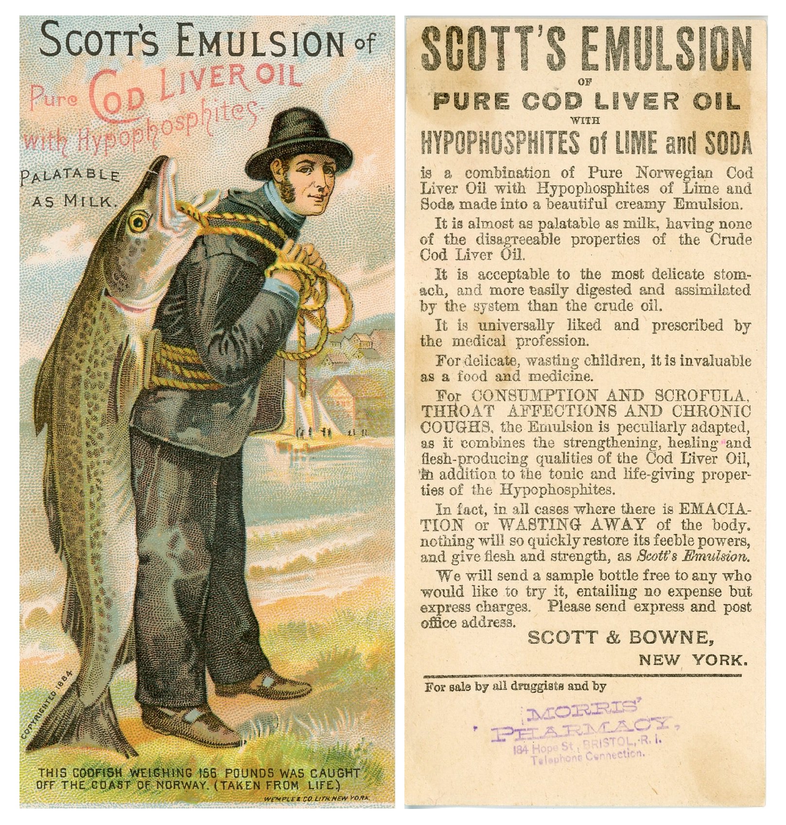 COD LIVER OIL Scott s emulsion of pure cod liver oil Fisherman carrying a  giant fish