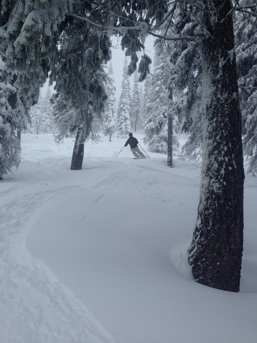 kulwap's tweet photo. Conditions are great today! #powderfriday #skiing @49DegreesNorth @SkiNWrockies https://t.co/FjXksCwctq
