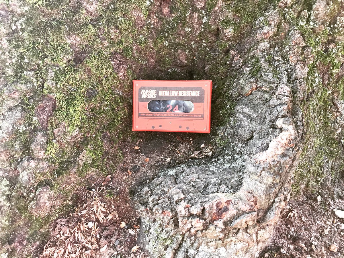 Flashwicks's tweet image. 