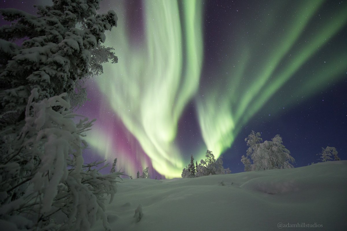 Northern nights under #NorthernLights. #Canada #Winter #Aurora