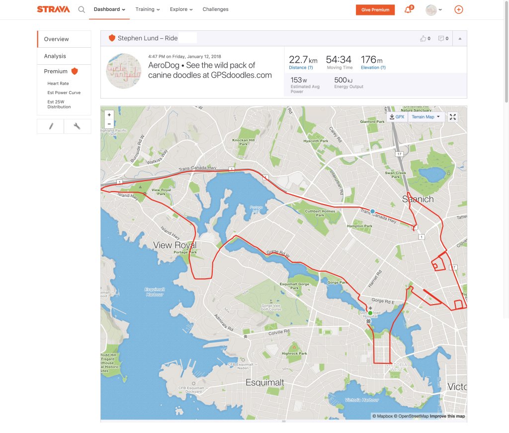 A wild pack of #YearoftheDog #GPSdoodles • #Dogs and more dogs gpsdoodles.com/2018/01/12/a-w…