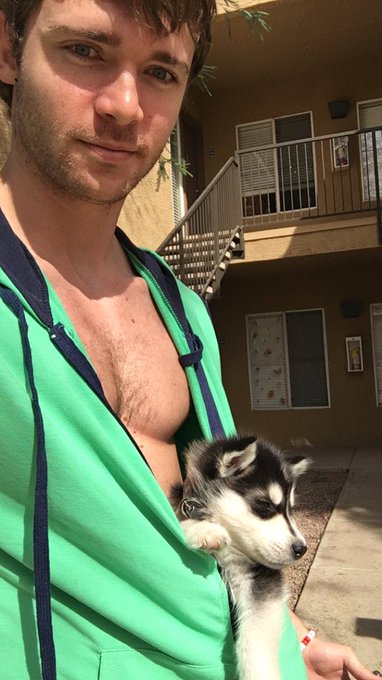 Here's wishing a Happy Birthday to Voyeur-dog Argent, who turns 2 years old today. And he doesn't look<a href="/tag/humpday"class="tags"><span>#humpday</span></a><a href="/tag/rt"class="tags"><span>#rt</span></a>