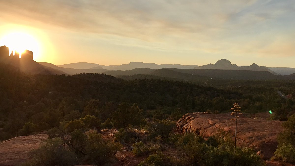 Joe Cook tweet media