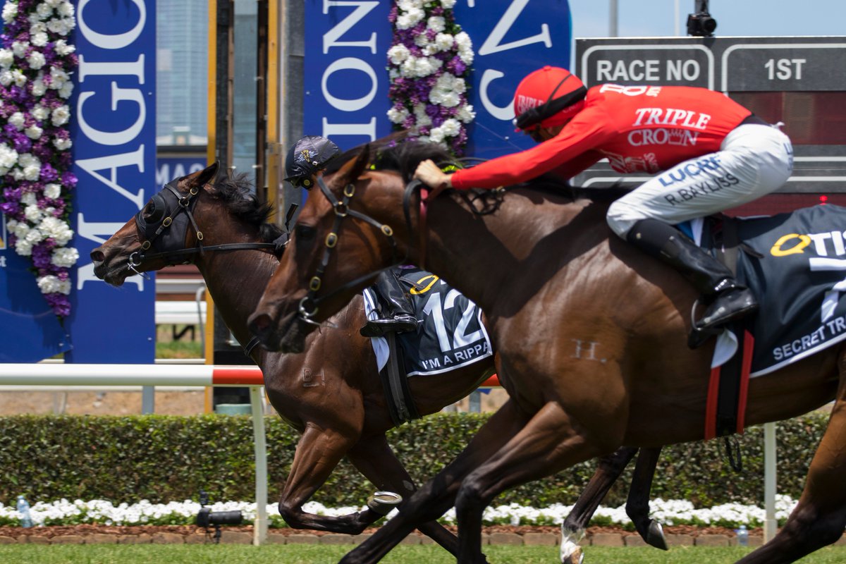 mmsnippets's tweet image. #GCMarchYearlingSale grad I'm A Ripper just won the first of the $1m races, the @racing_qld #MagicMillions QTIS Open for @tonygollan &amp;amp; a happy ownership! His full sister will be offered tomorrow at the #GoldCoastYearlingSale for @eurekastud! 📷:@MMcInallyPhotos &amp;amp; @rough_habit
