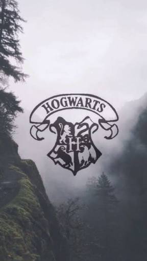 AnLow_'s tweet photo. #TemDiaQue eu so quero que minha carta Hogwarts chegue https://t.co/WDG0VuwNOS