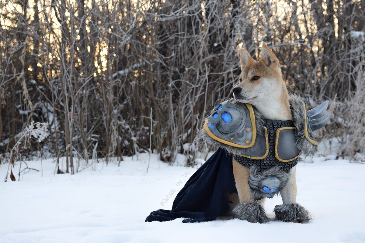 Warcraft's tweet photo. "All must serve the one... true... king."

🔎 Lich King cosplay by @Outside_the_Vox https://t.co/3dhmwQiVdo