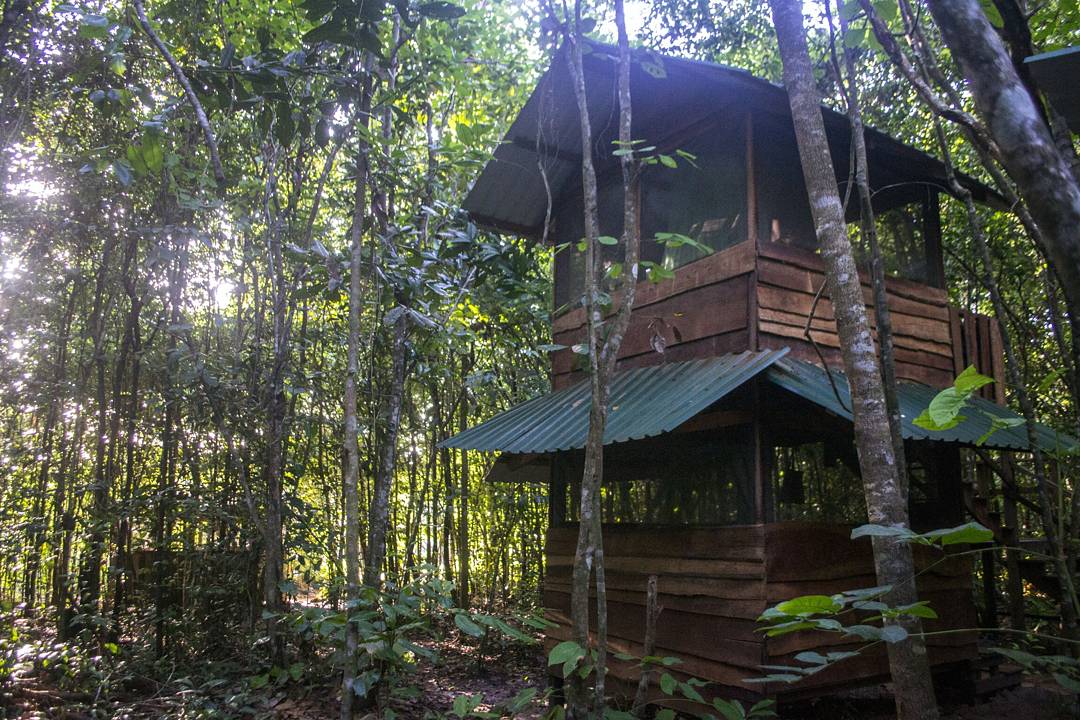 alana_zamora's tweet photo. Spent one of our last nights sleeping in the middle of Guyana's rainforest. #txststudyabroad https://t.co/G6HZflOn6q
