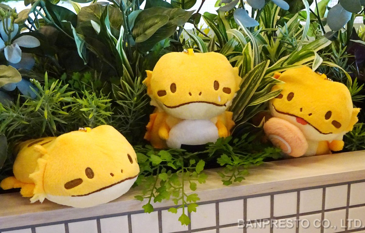 bearded dragon plush