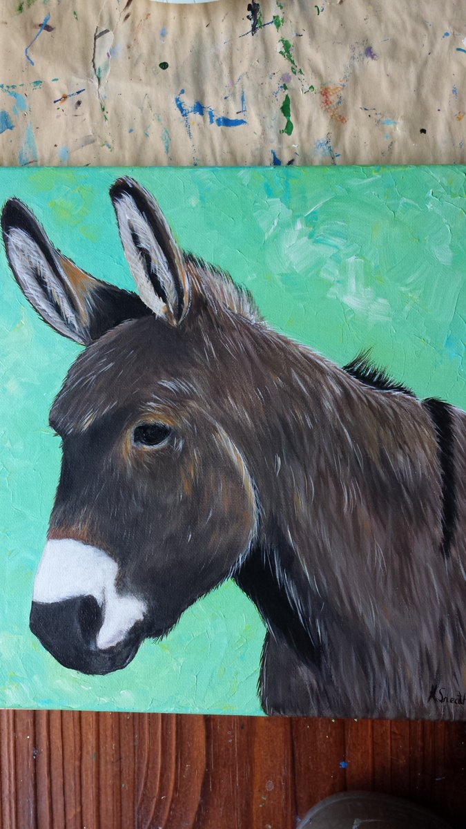 ksneathart's tweet photo. My donkey painting is finished!  Thanks so much for all the encouragement. Have finished my logo design too....just waiting to see if my friend is happy 😁 Hope you all have a great weekend! #lovedonkeys #painting #nowwhatsnext https://t.co/41OiLaJqfS