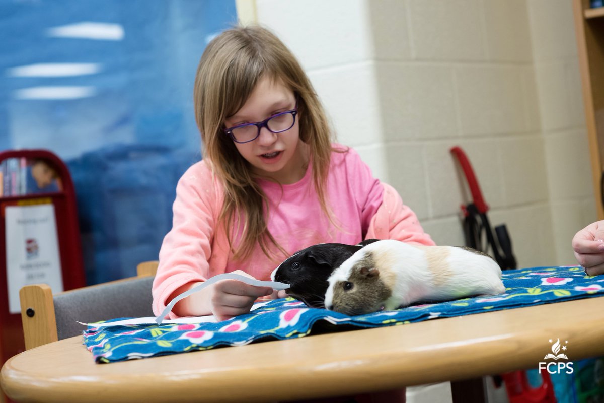 acouchreaders's tweet photo. The #GlasgowGuineas were interviewed by @fcpsnews and the pictures are adorable. We have the best students! #GMSbelieves @RosieSchubring @skallen03 @GlasgowMS https://t.co/YyajZdL1hG