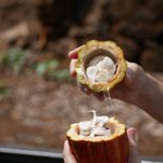 Photo by The Poco Dolce Team (@PocoDolceSF)