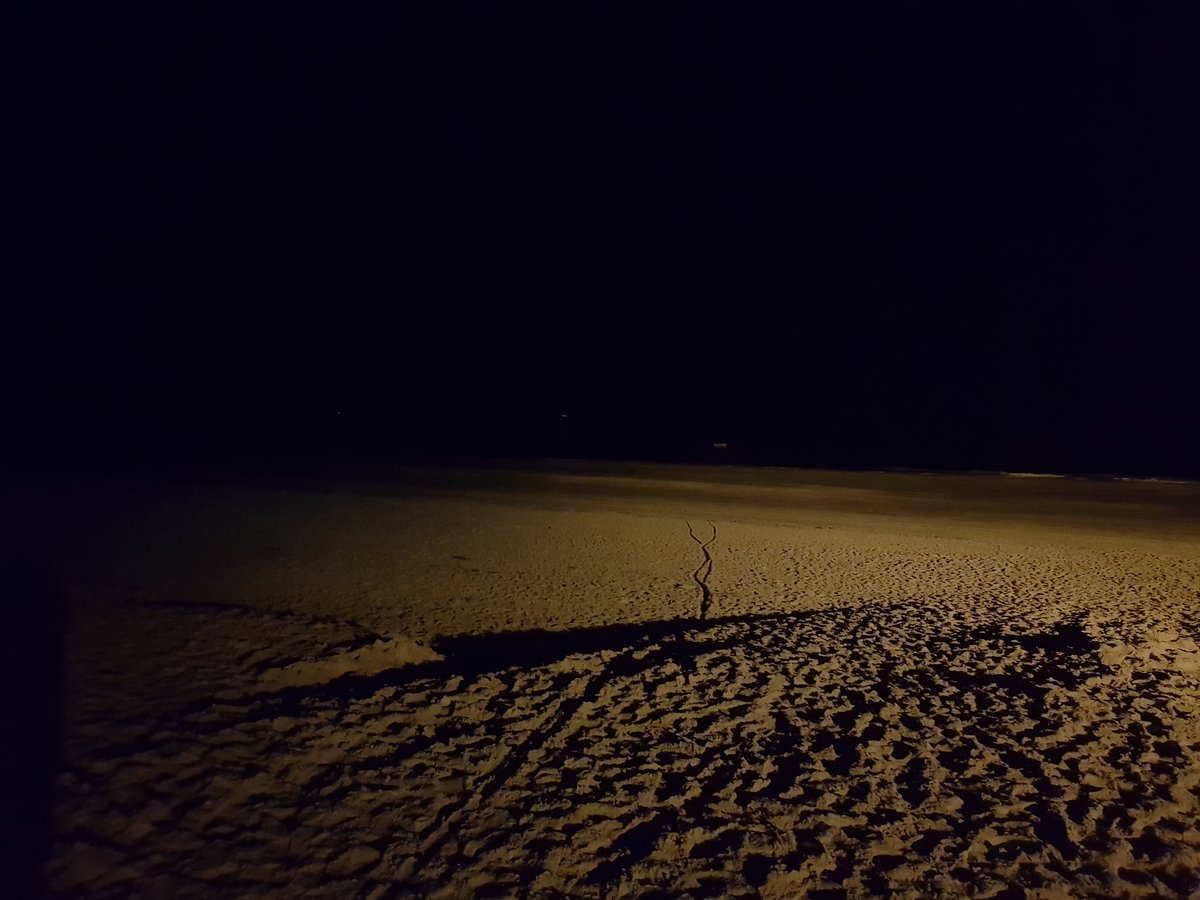 xromyhofma's tweet photo. Strandwandelingen in het donker zijn toch echt mijn favoriet. #ookindewinter https://t.co/zk8IijRMbX