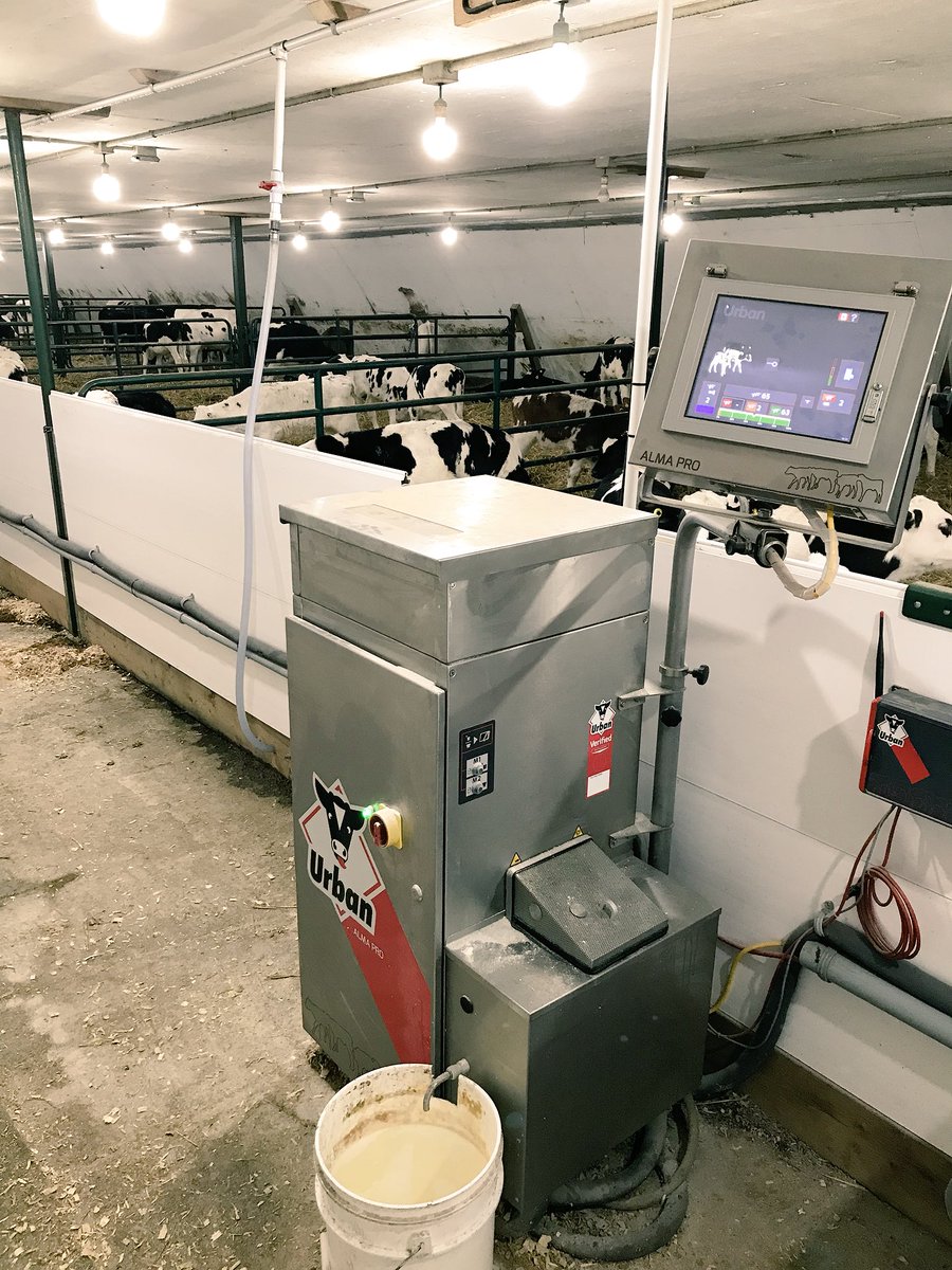 Ethan Embury On Twitter Urban Alma Pro Making Feeding Calves