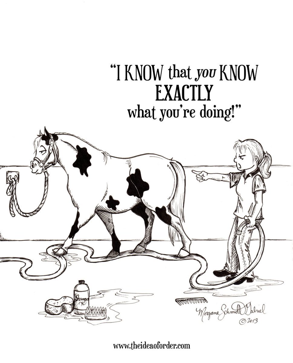 YorkshireEC's tweet photo. Please tell me I’m not the only one who goes through this 🙈😭😡🐴😂 https://t.co/76djbYKdmh