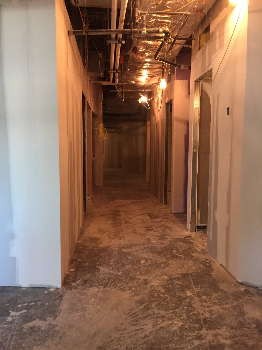 Renae Hurst tweet media