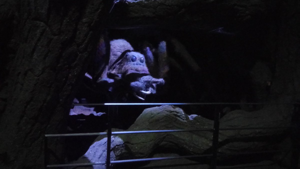 T_Whyman's tweet image. Outing #wbtour