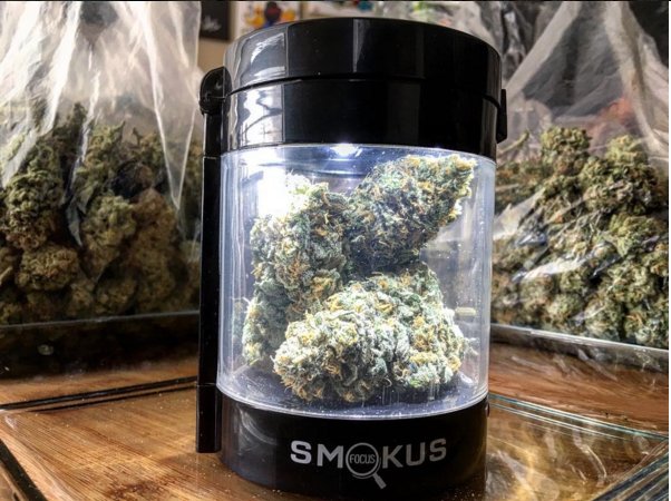 It's the Chronic. Just in time for the weekend. #chronic #weed #bagsofweed #stashjars #smokusfocus