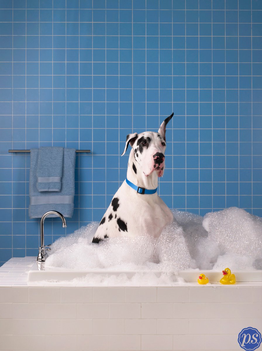 PrimeSleep's tweet photo. Everyone deserves a bath before bedtime! #PrimeSleep #shoplocal https://t.co/UrEDLyw3sO