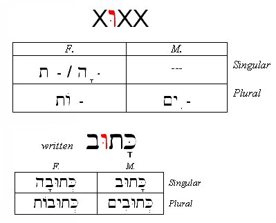 Hebrew Passive Participle