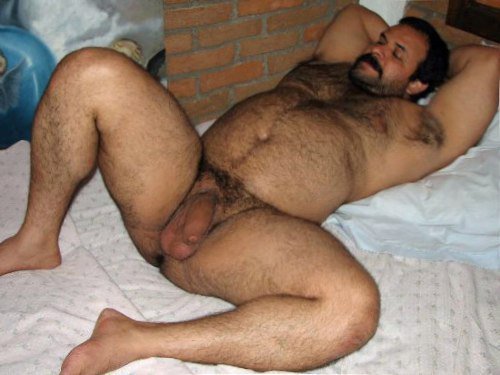ThatFurryBear's tweet photo. Follow ThatFurryBear to get daily #Hairymen, #Gaybear pictures! https://t.co/wOflSvUVik