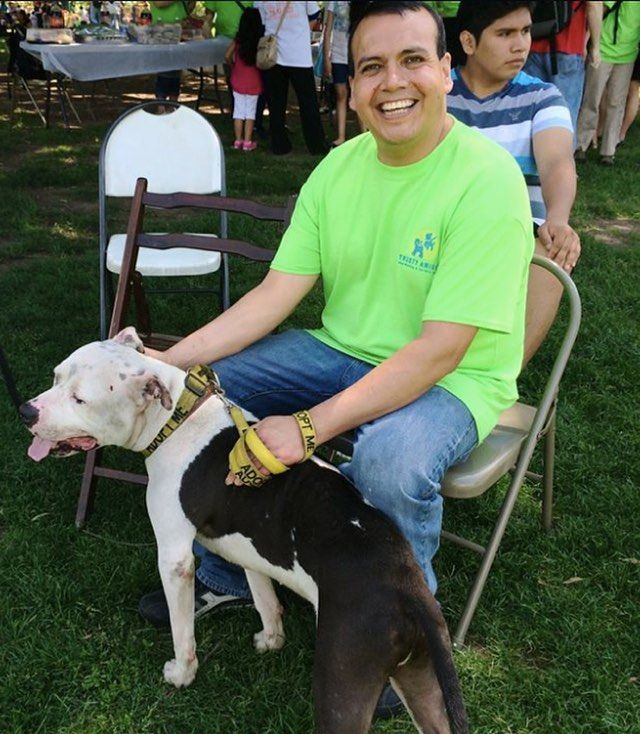 Member Spotlight: Check out Trusty Amigos Dogwalking and Pet Care Cooperative buff.ly/2mlknsB #workercoop #gocoop