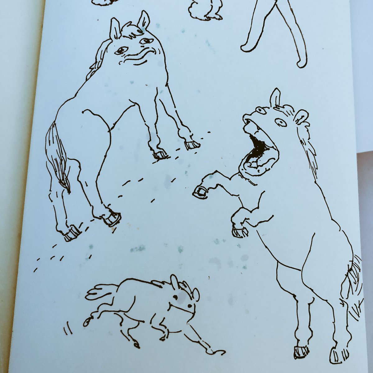 sketchshark's tweet photo. Horses. https://t.co/ZZWgkpMnuc