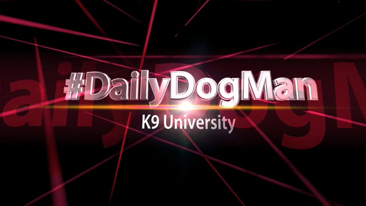 K9University's tweet photo. Do you have an aggressive dog? @AskTheDogman goes over your options in this week's #DailyDogMan episode. #dogtraining #myk9u #dogsoftwitter
https://t.co/Z7Oooks85p https://t.co/OqFiXfw0iB