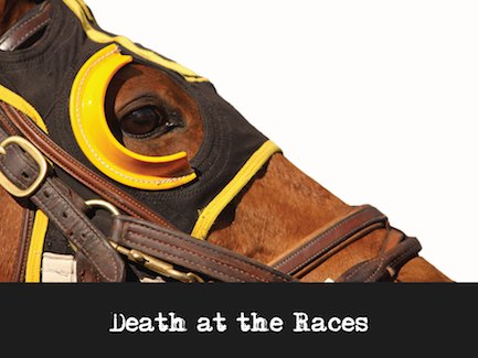 murdernmayhem's tweet photo. Offed at the Races - A derby mystery
You won’t want to miss the Rivalry of the Roses!
https://t.co/6VzIs79wY3 https://t.co/KL6qPO9koN