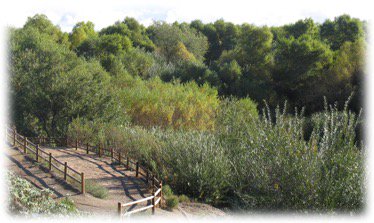 Our goal is to create a Trail that brings the community to the most beautiful parts of the San Diego River.  A trail for hikers, bikers, and equestrians to enjoy forever! #sandiegoriver #sandiegorivertrail #bikesandiego #hikingsandiego #SanDiegoHorseRiders #lakesideriverpark