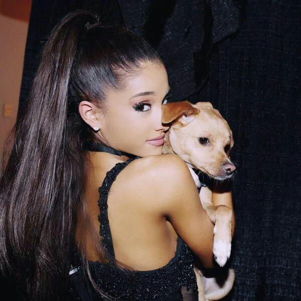 camilaonchart's tweet photo. RT PARA AJUDAR NOSSOS PARCEIROS ARIANATORS!

#Toulouse #CutestPet #iHeartAwards https://t.co/fyxD1pyKaA