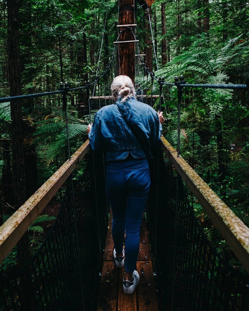 wylify's tweet photo. https://t.co/Fgoxm3pFXh #VSCOCam Dark Encounters // Finally posting something new... This tree walk was one of my favorite experiences in New Zealand. 🌲🏃‍♀️🌲 //
.
.
.
.
.
#pickld #guaq #citylimitless #seemycity #urban #street #streetdreamsmag #unsplash #hsdailyfeature #… https://t.co/BnQ3kX1sdM