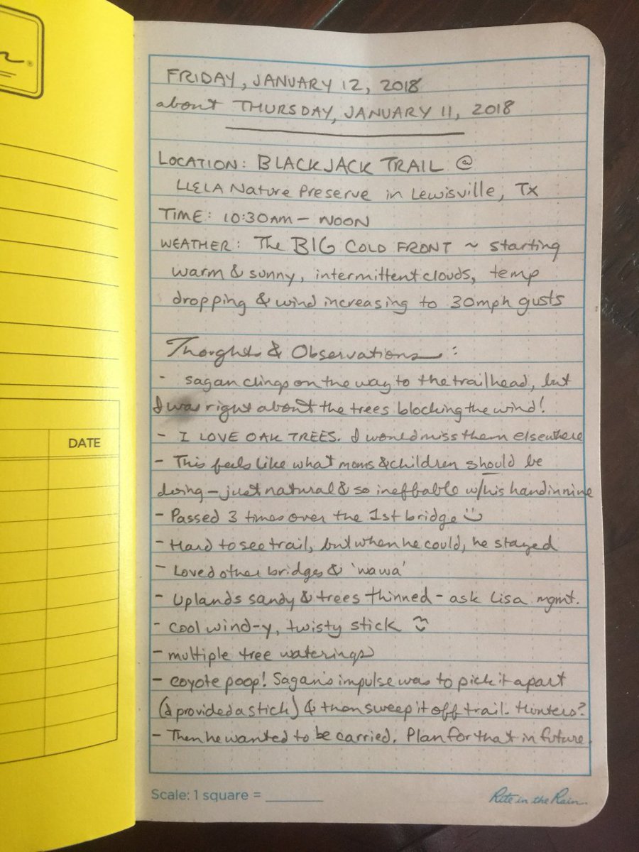 HappyNaturalist's tweet photo. Field Notes Friday: Cosmic Connection https://t.co/myAhJQujvS https://t.co/3YcPQweVf3