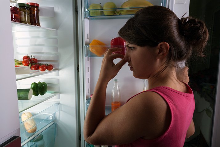 universityelect's tweet photo. You might open the refrigerator door only to be assaulted by a horrible smell. Fortunately, there are ways to get rid of a bad smell in your fridge if you put in a little bit of work and follow these helpful tips: https://t.co/lIOxV1cyfj https://t.co/37lSp2eN0Q