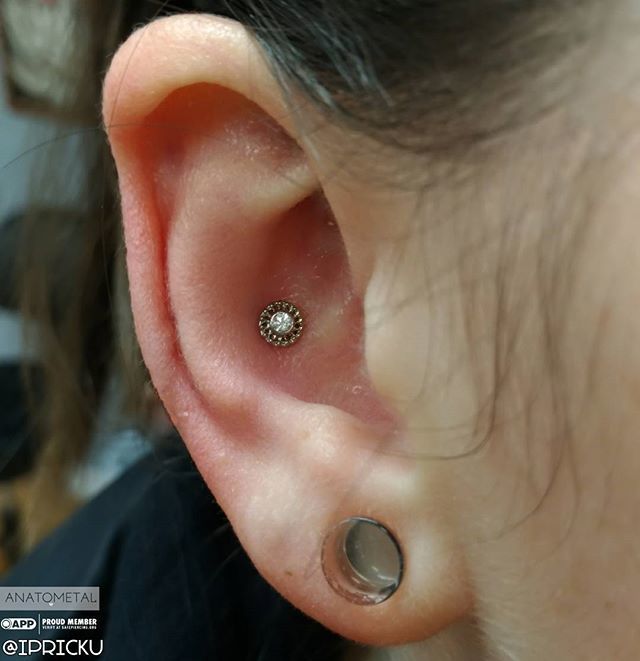 ipricku's tweet photo. Conch piercing upgraded to an 18k white gold virtue threadless end w/ a cz swarovski gem from @anatometalinc. Stop by and check out all the new jewelry we have in stock. At @boundforglory_nyc till 10pm!
.
.
.
.
#ipricku #statenisland #nyc #anatometal #legitbodypiercing #conc… https://t.co/1TjrOYowqp