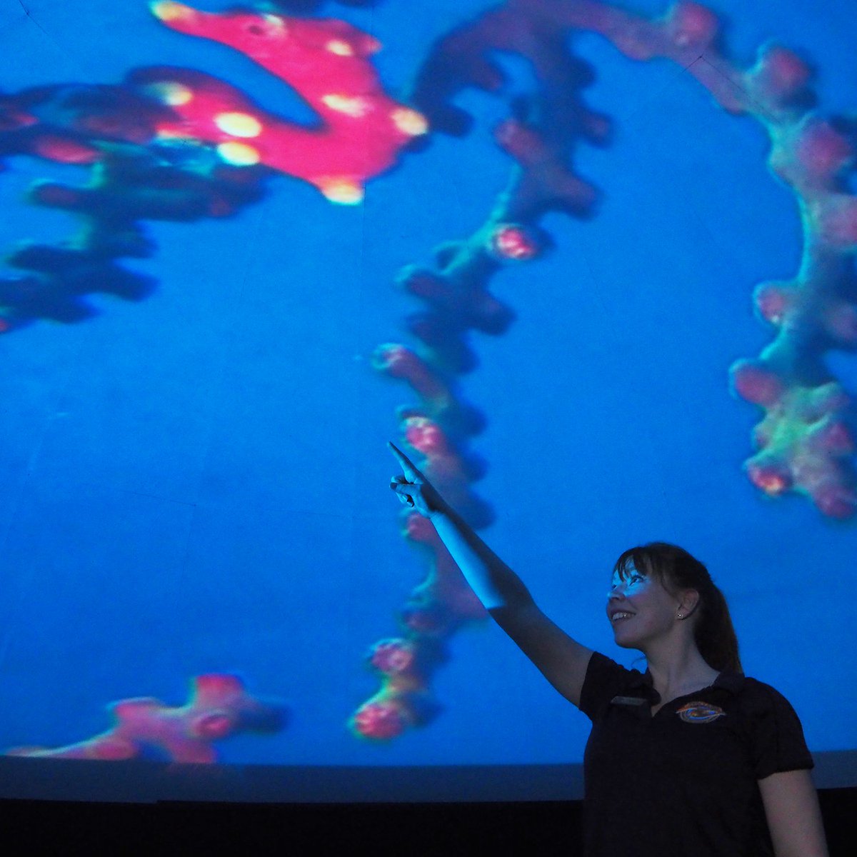 DiscoBendigo's tweet photo. During the Splish Splash school holidays our Planetarium is heading under the sea! https://t.co/UnMKaTccv6 https://t.co/4WNCJD2677