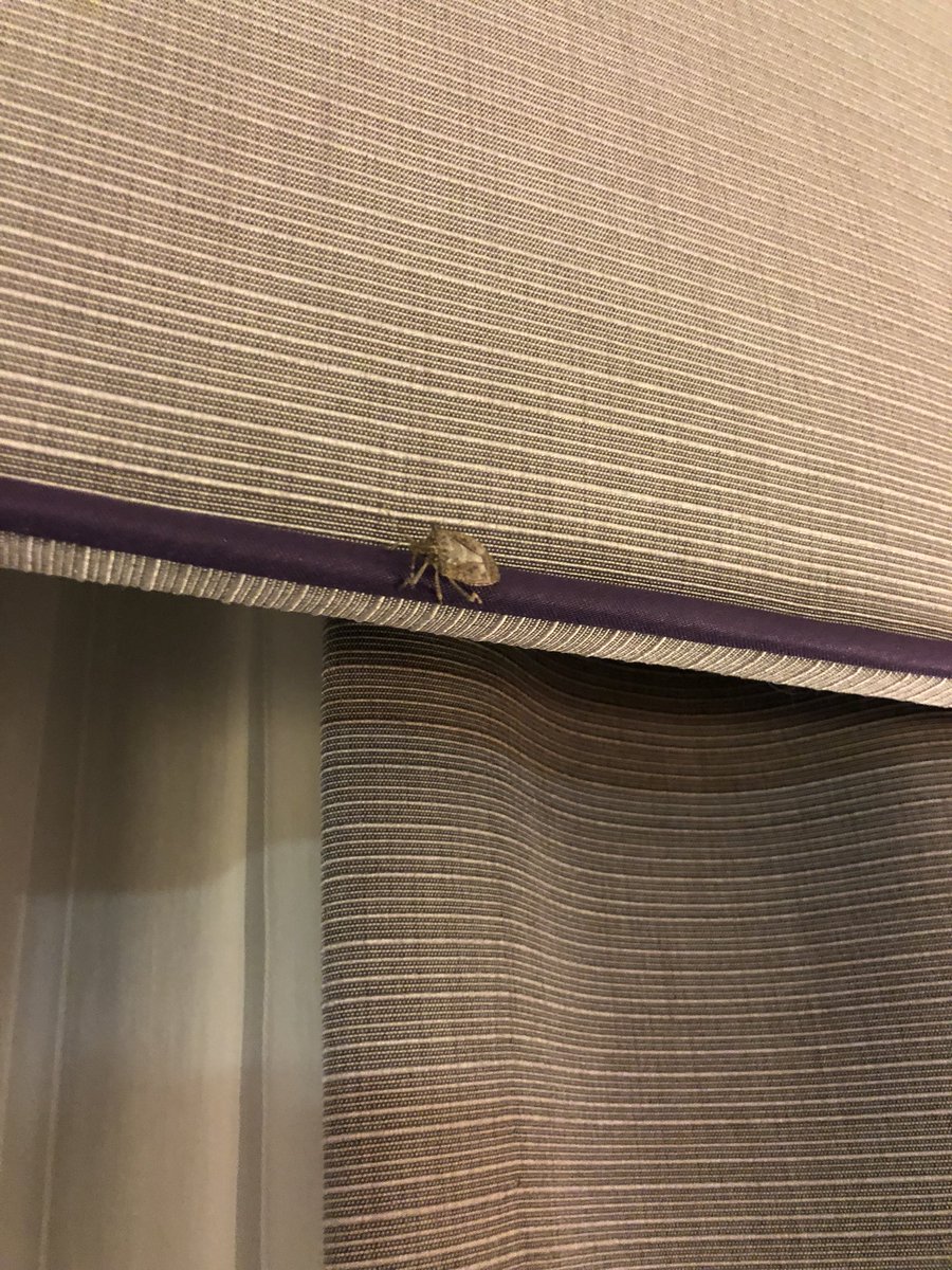 gerryfidler's tweet photo. @HiltonHotels  https://t.co/52YLGybv0O