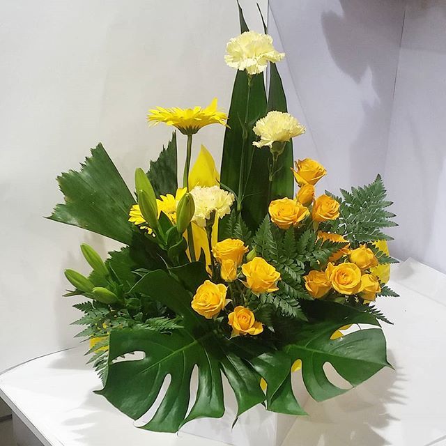 HangingBasketFl's tweet photo. Good morning
#goodmorning #flowers #florist #flowershop #rockinghamflorist #rockingham #mandurah #fremantle #perth #flowersofperth #ausflorist #baldivis #warnbro #secretharbour #safetybay #imarealflorist #monstera https://t.co/bUmsvJlgSU https://t.co/vhbf673Z24