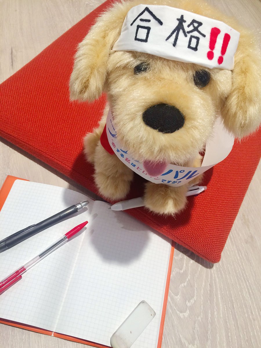 principal_movie's tweet photo. 🏫#センター試験 スタート！✍🏻💦

スミレも合格に向けてペンを手に取ってみたものの…🐶❓
受験生のみなさん、頑張ってください！！

#プリンシパル #スミレ https://t.co/GQTKXWPIcb