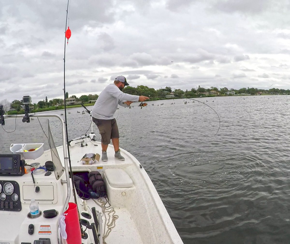 HookupLures's tweet photo. That's what we're looking for!!
#bentup #HookUp #fishing #inshore https://t.co/8hhbCk95yS
