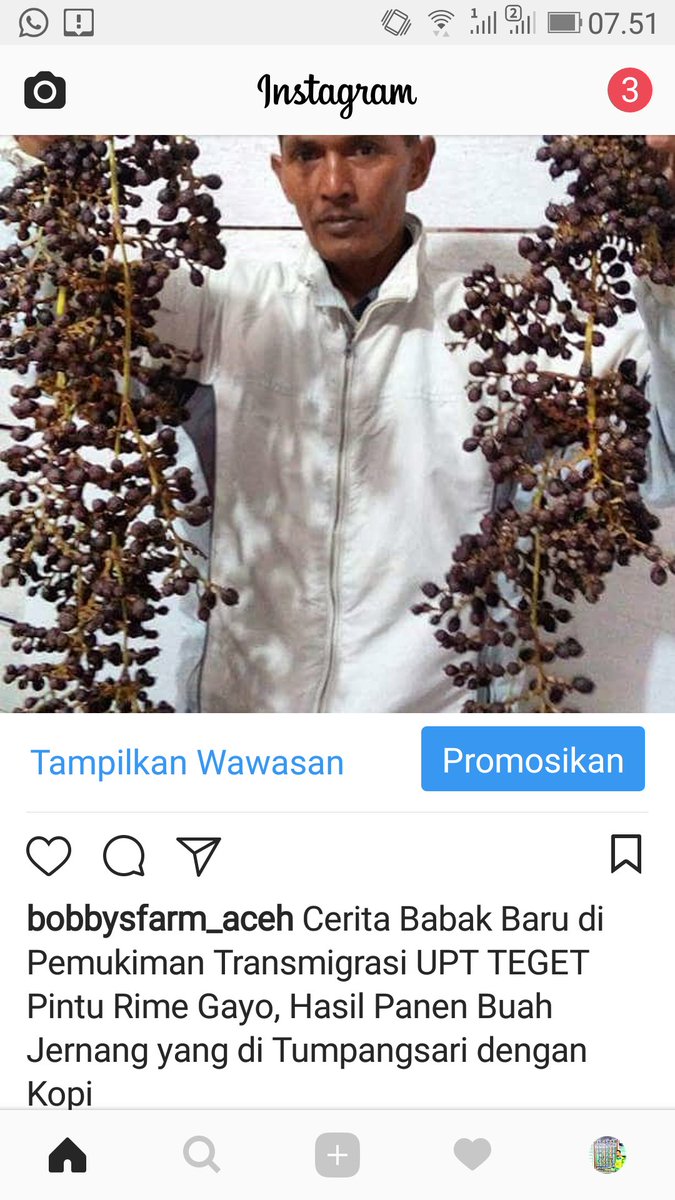 bobbydenil's tweet photo. Buah Jernang menjadi Idola Warga Petani di Kabupaten Bener Meriah terutama para #Transmigran di Lokasi #Transmigrasi UPT Teget Pintu Rime Gayo #TransmigrasiBangunNegeri #PSMINDONESIA #AcehHebat https://t.co/xaS9VcJTpl