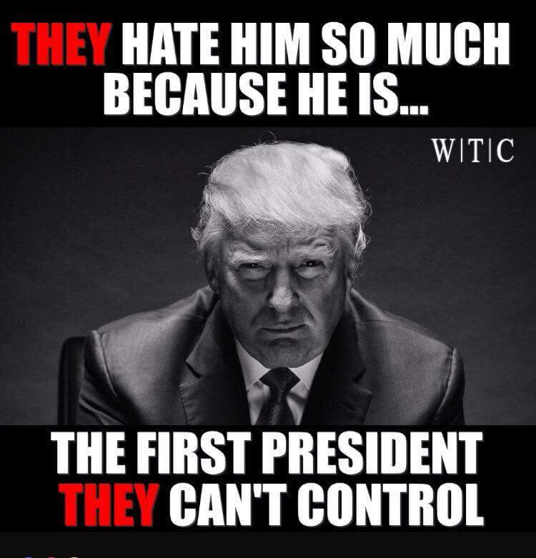 mikandynothem's tweet photo. For today's attack on President Trump by #FakeNews, the Stormy Daniels story...once again. 
Really? 🤣
Can't these haters at least come up with something new? Forget it, liberals. You're never going to hurt him because you can't control him. On to Chris Matthews...
#MAGA #tcot https://t.co/jDEMdGB2vT