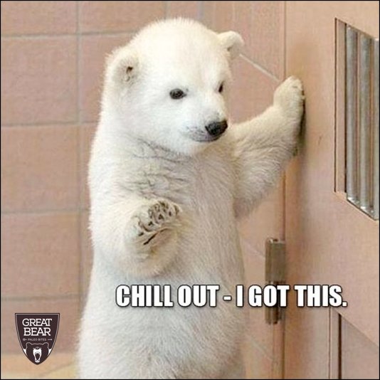 Sassy pants bear is ready for the weekend! #TGIF