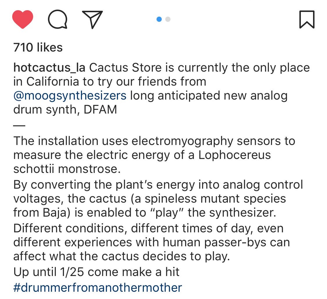 twitter cactus music twitter cactus music
